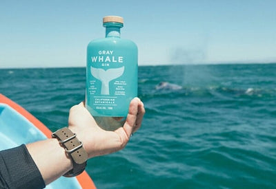 10 eco-friendly alcohol brands to know, and what makes them sustainable