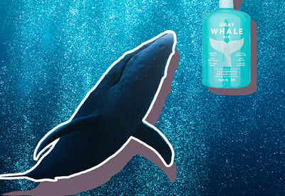 How Spirits Brands Are Trying To Help Protect Endangered Species