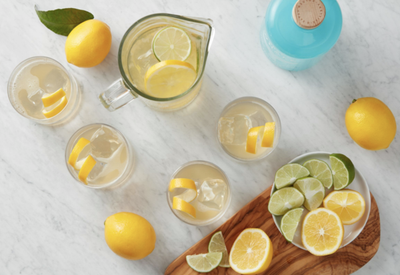Love Stanley Tucci's Take On The Negroni? Consider One Of These Equally Lush Gin Cocktails