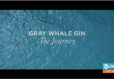 How a bottle of gin is helping to save the ocean